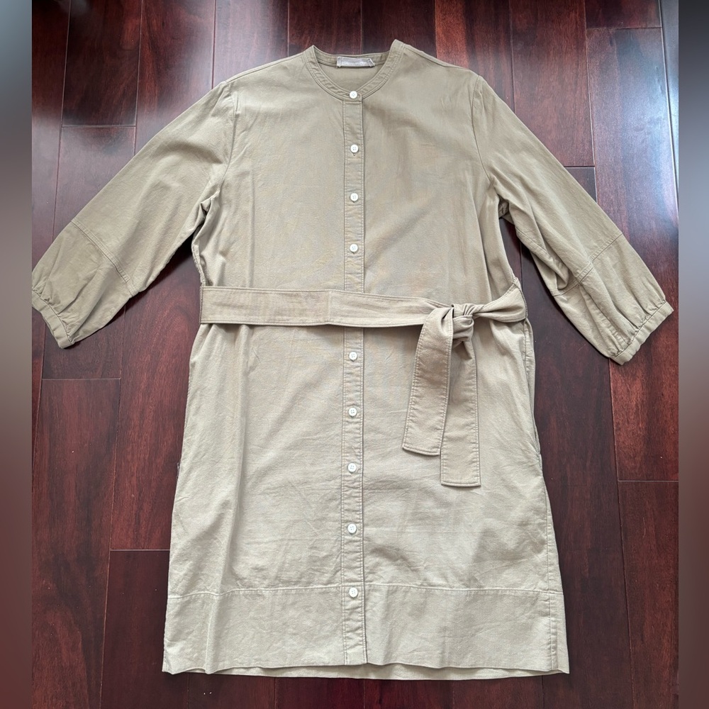 Everlane Button-Up Dress